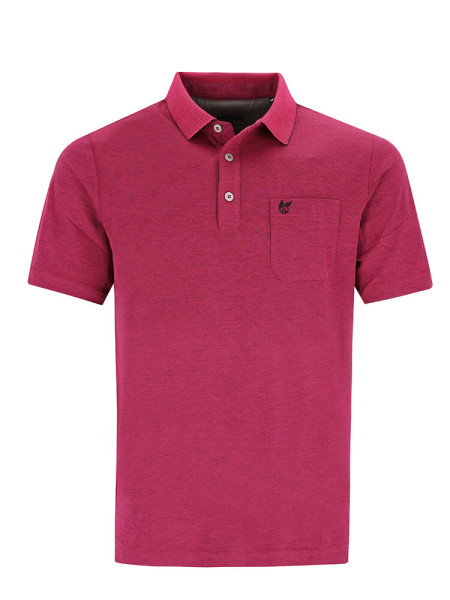 Polo HAJO
