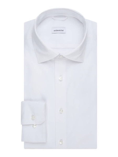 SEIDENSTICKER - Vista 2