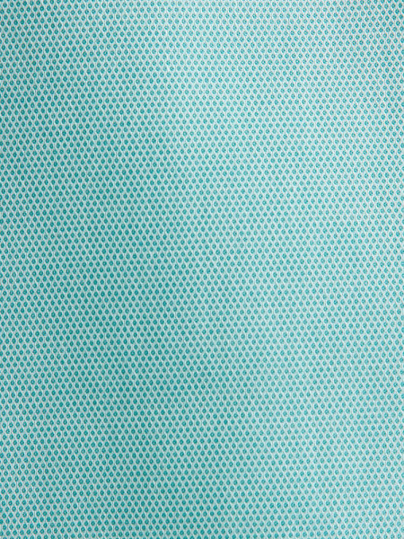 SEIDENSTICKER Regular Fit Camicia Verde Button-Down Struktur - Vista 1